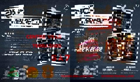 Bar Le Triangle photo 1