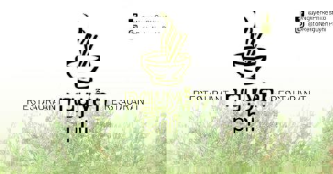 Restaurant Nguyen Phi photo 1