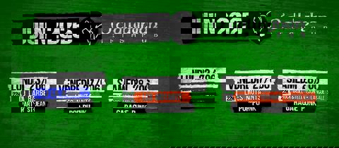 Pub O'Callaghan photo 1