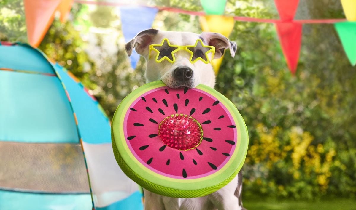 Canadian Tire photo 1