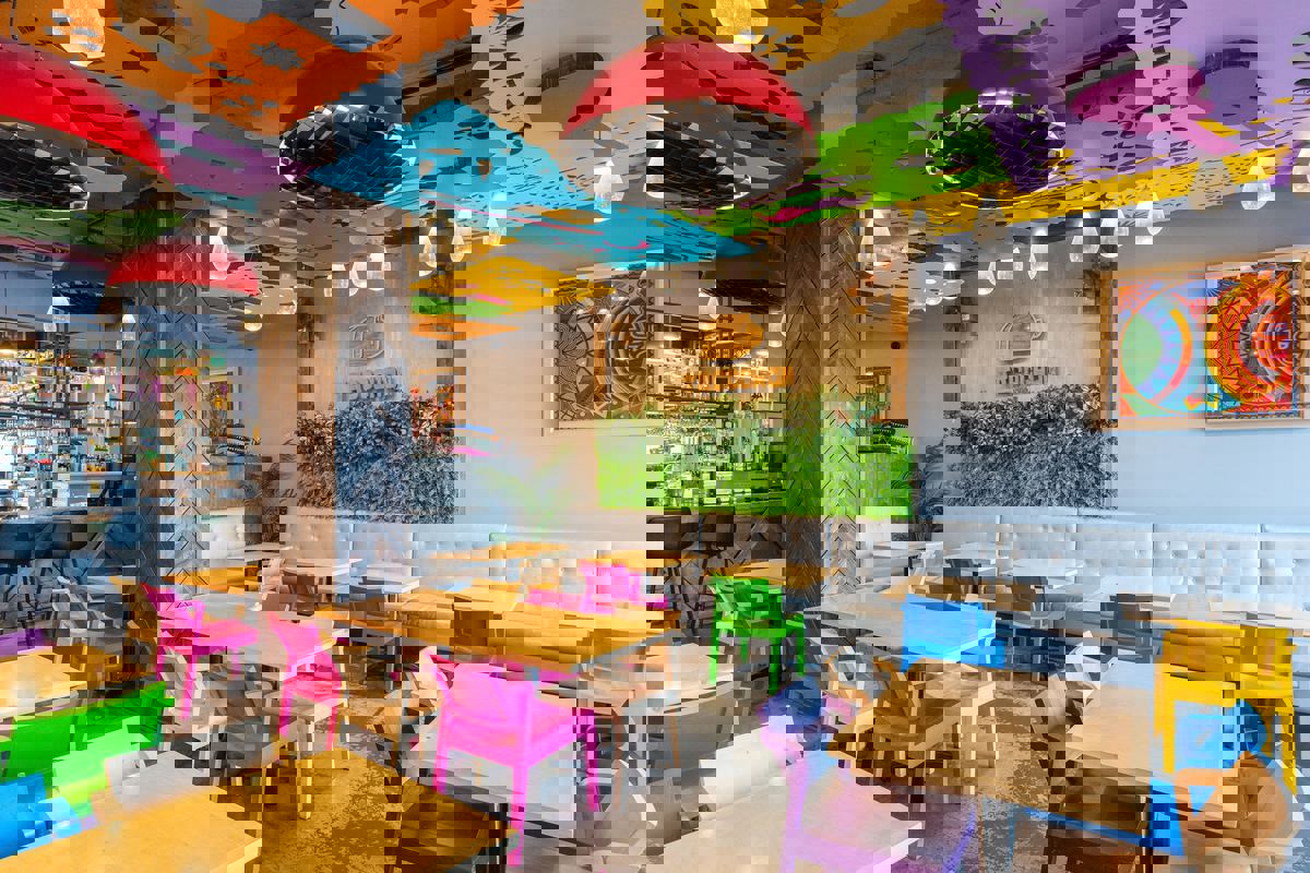 Tacochon Restaurant Mexicain photo 1