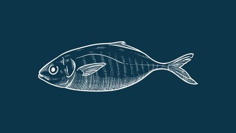 Rayan St-Leonard (Rayan Belanger) photo 1