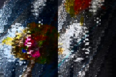 Saiko Bistrot Izakaya photo 1