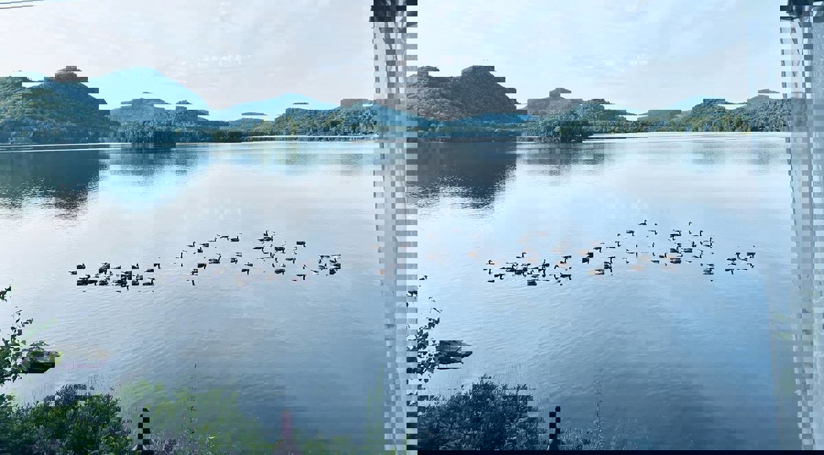 Bistro le Loch photo 1