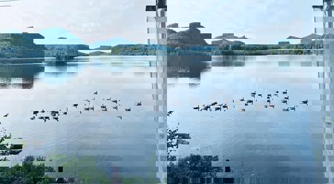 Bistro le Loch photo 1