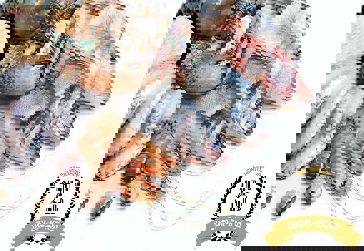 Les Fruits de Mer Sea-Ray Seafood Inc. photo 1