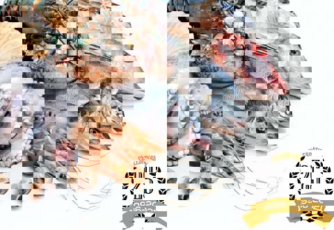 Les Fruits de Mer Sea-Ray Seafood Inc. photo 1