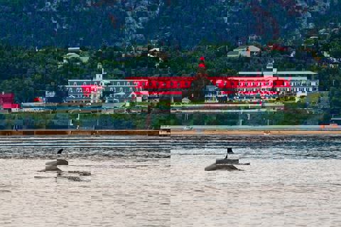 Le Coverdale photo 1