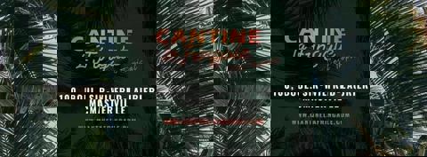 Cantine La Fringale c'est Tropical photo 1