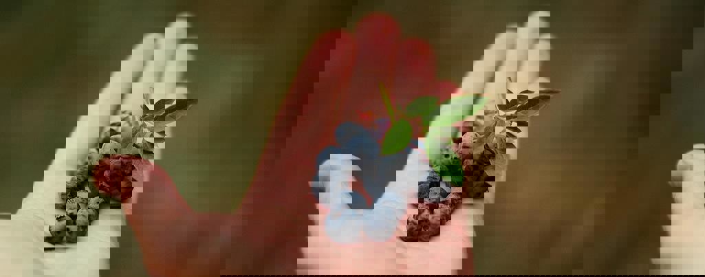 Le Relais du Bleuet photo 1