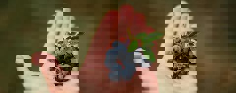 Le Relais du Bleuet photo 1