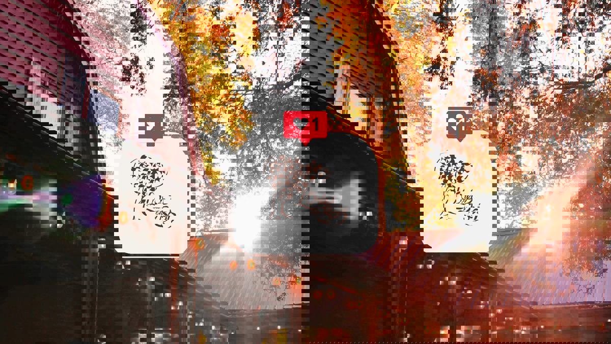 L'Orée du Bois photo 1