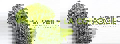 Le Festigoût Café photo 1