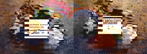 Cambodiana Express photo 1