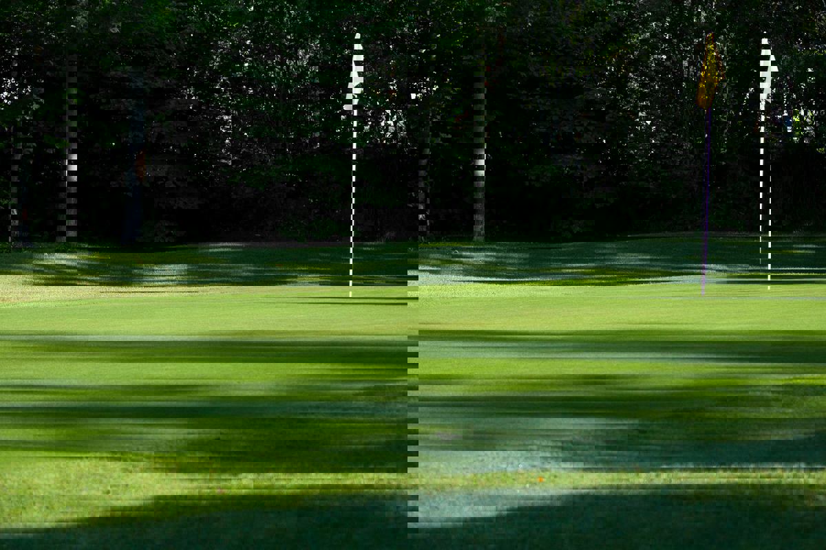 Bar Laitier BABY photo 1