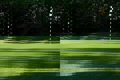 Bar Laitier BABY photo 1