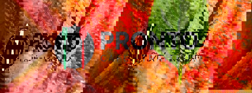 Pronto Prêt À Manger photo 1