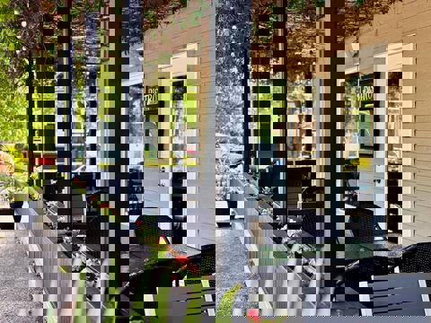 Rebelle bistro photo 1