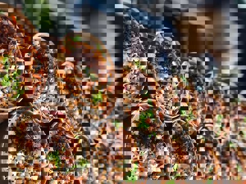 Le Bol Chez Vic photo 1