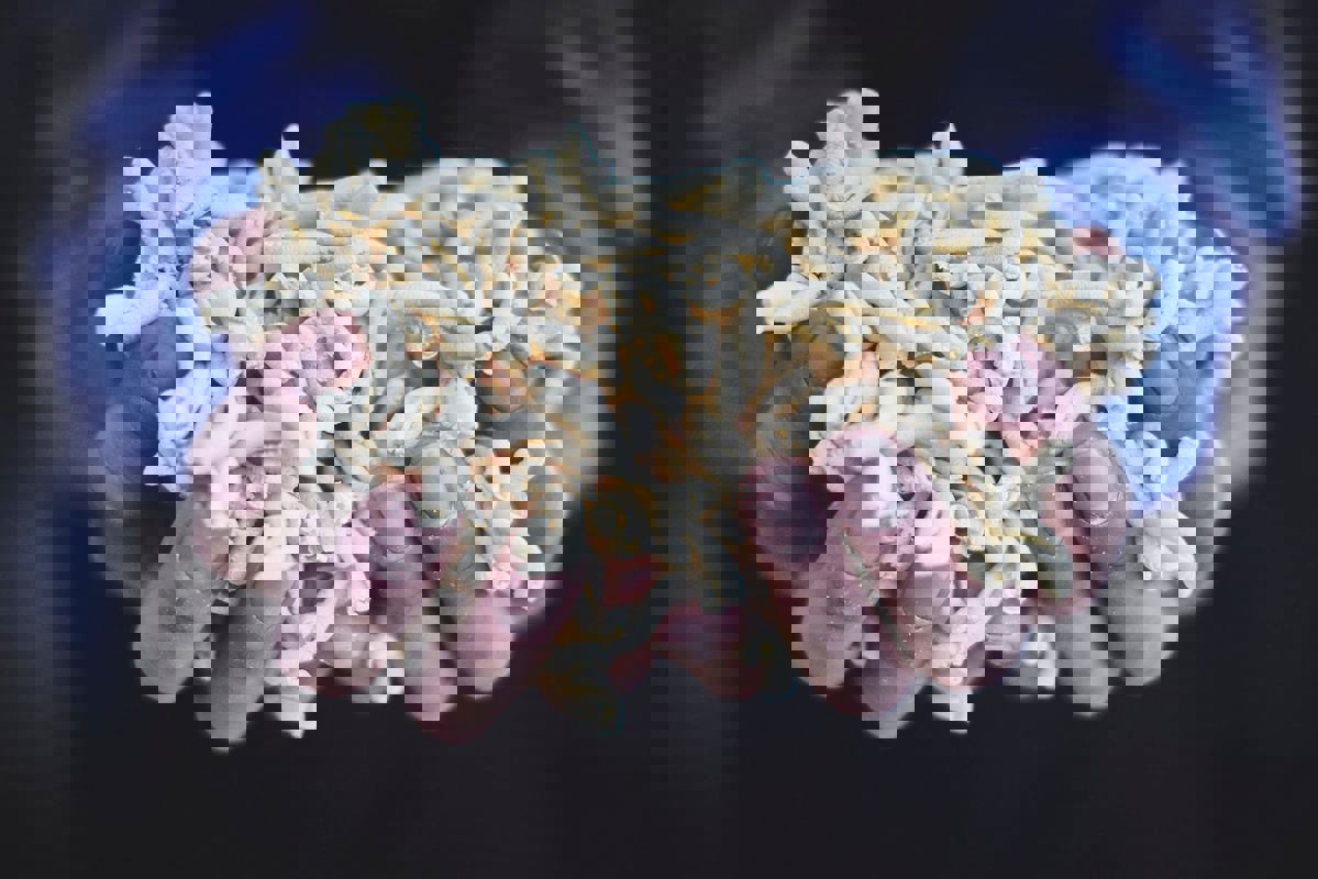 Restaurant Mille Pâtes photo 1