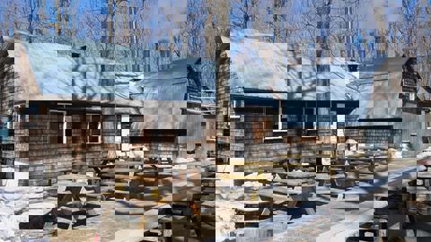 Sucrerie Chez Jean-Pierre photo 1