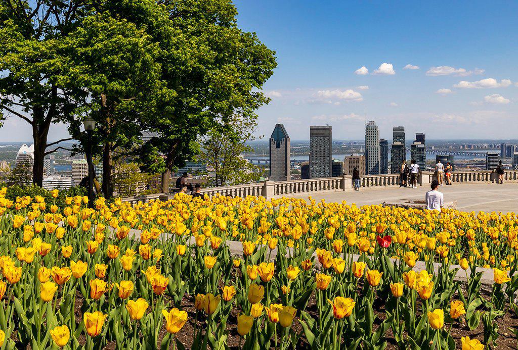Montreal Station Hot Dogs photo 1