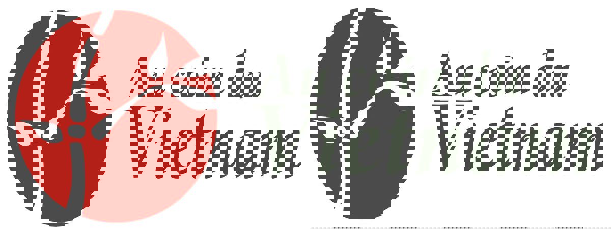 Au Coin du Vietnam photo 1