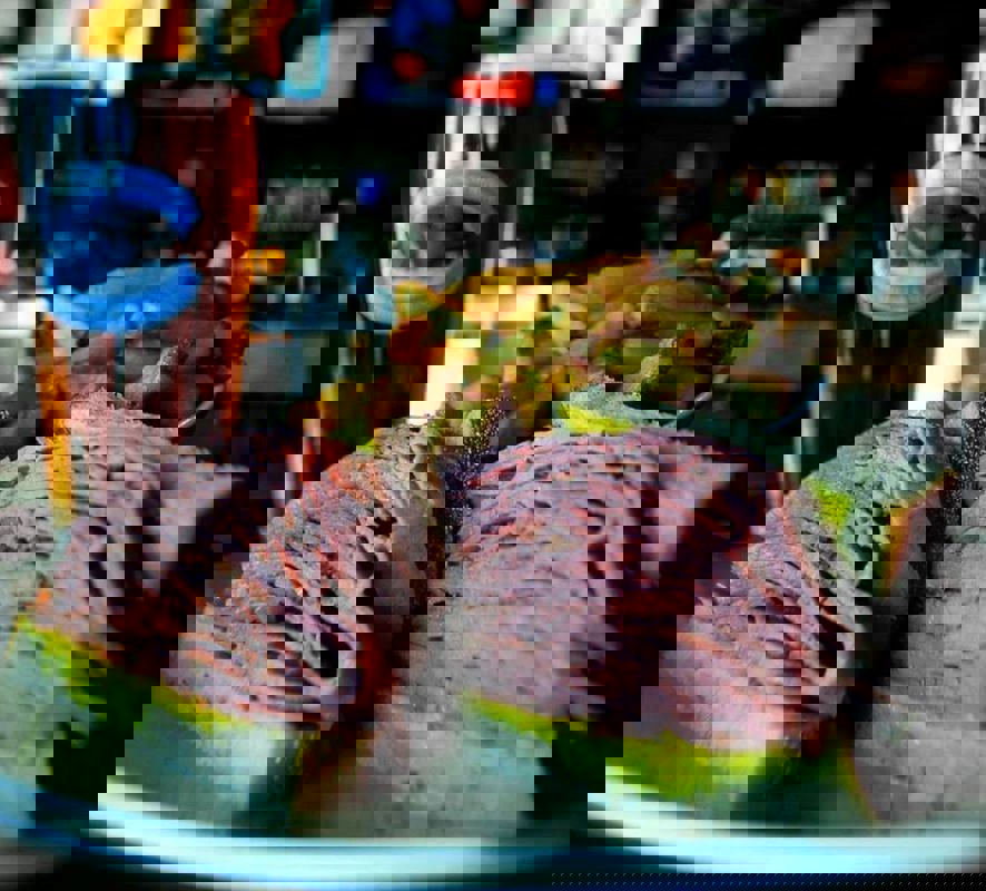 Moe's Bar & Grill photo 1