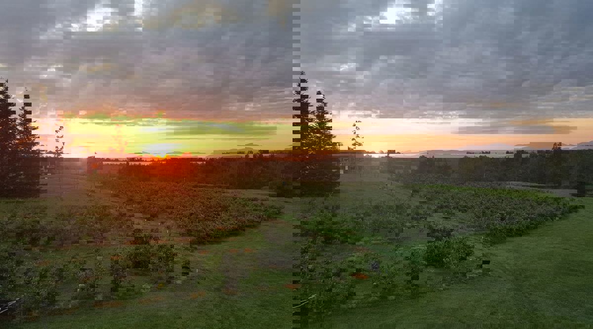 La Colline aux Bleuets photo 1