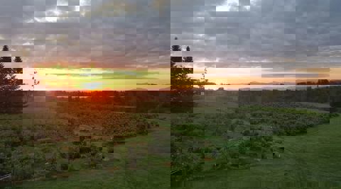 La Colline aux Bleuets photo 1