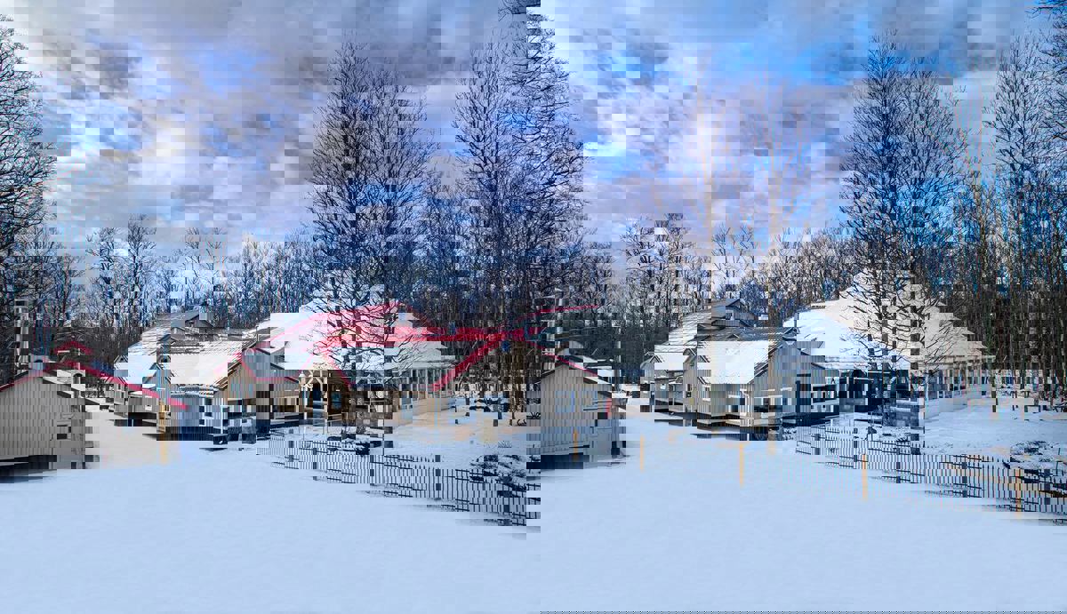 Domaine de l`Artisan Inc photo 1