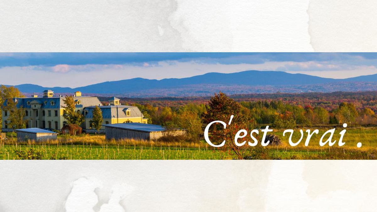 La Belle Alliance photo 1