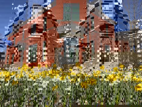 Parc Tiffany photo 1