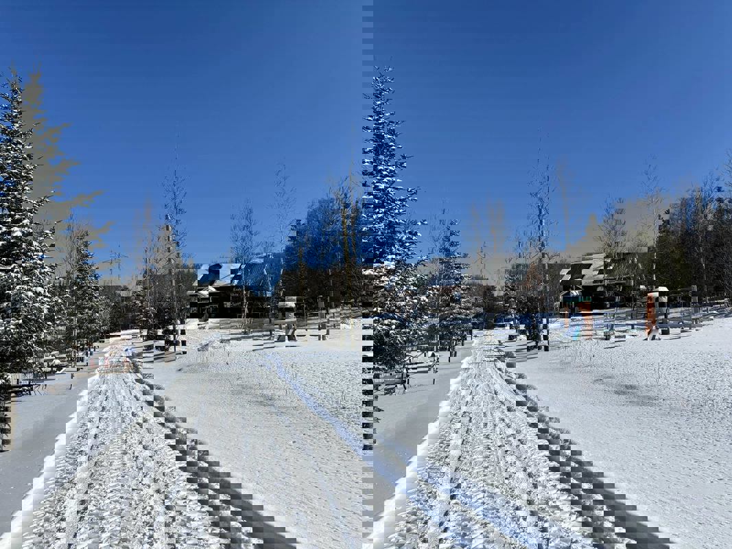 Érablière Grand-M'man photo 1