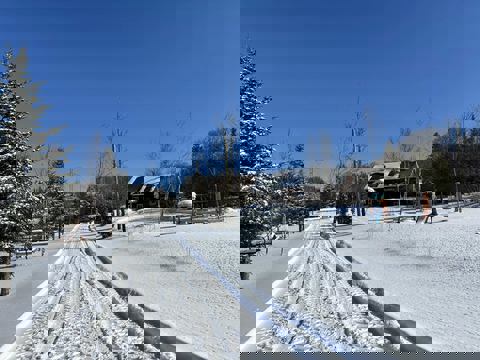 Érablière Grand-M'man photo 1