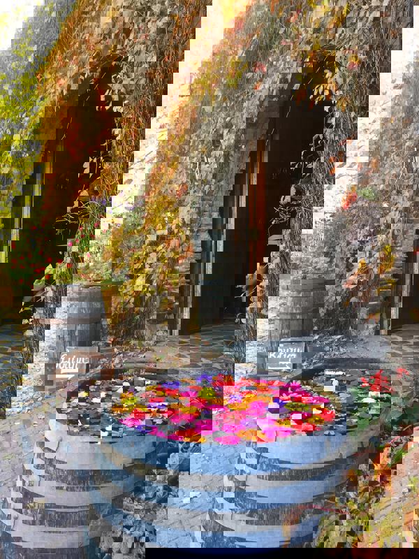 Domaine Cotes d'Ardoise - Vignoble & Cidrerie photo 1