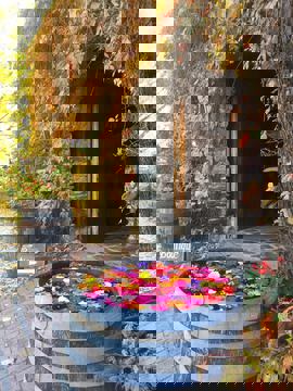 Domaine Cotes d'Ardoise - Vignoble & Cidrerie photo 1