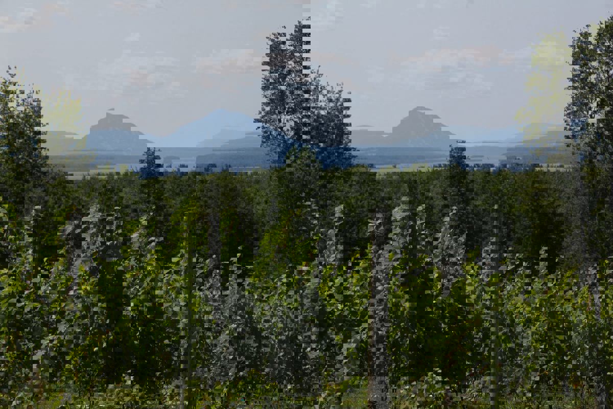 Au Vignoble d'Orford photo 1