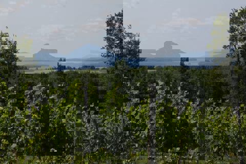 Au Vignoble d'Orford photo 1