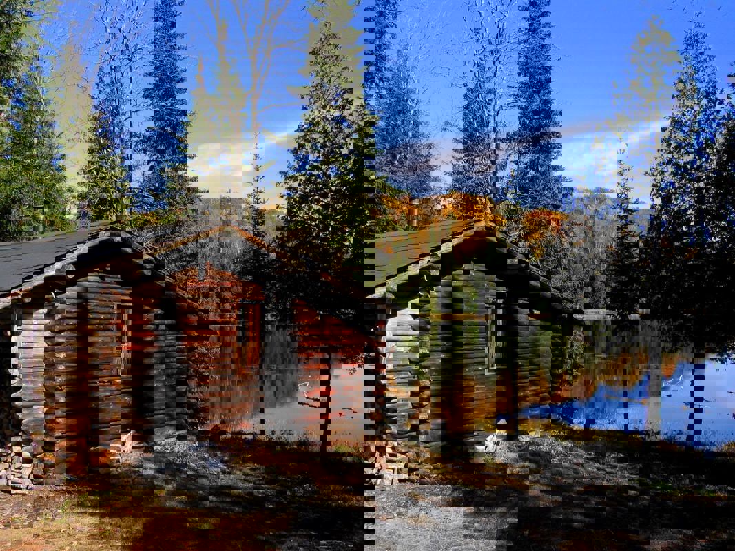 Les Petits Trésors B&B photo 1