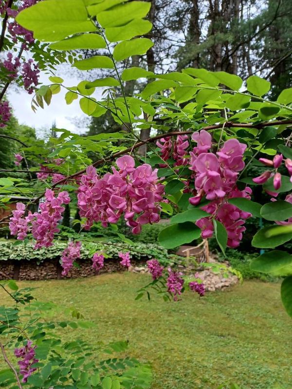 La Table de mes Rêves | Gastronomie champêtre et cuisine régionale photo 1