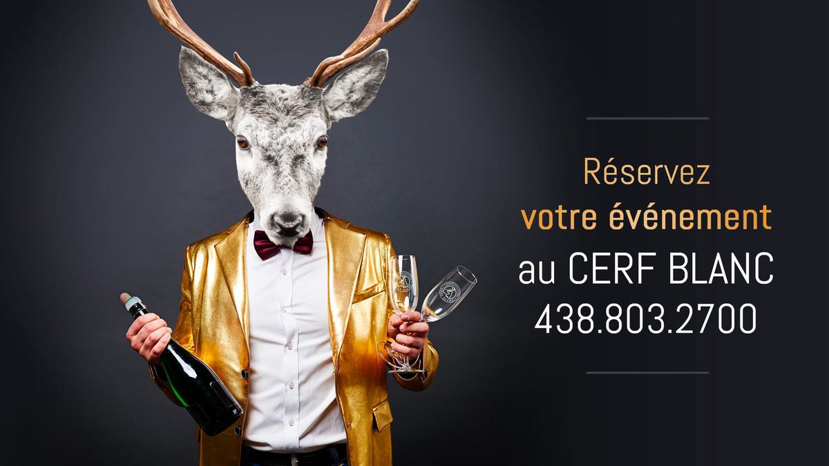 Le Cerf Blanc photo 1