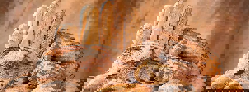 Boulangerie & Pâtisserie Concorde photo 1