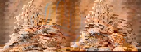 Boulangerie & Pâtisserie Concorde photo 1