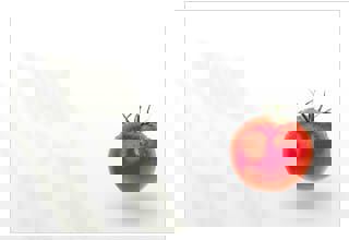 Snack-bar on the run