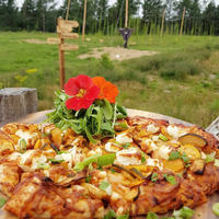 The Strain of Pleasure