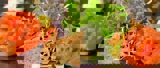 Le Godefroy: A gastronomic experience with flavors from here