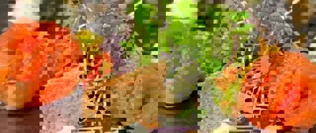 Le Godefroy : Expérience gastronomique aux saveurs d’ici