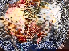 Charme en bord de mer