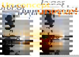 Brasserie Lac Brompton, un concept unique!